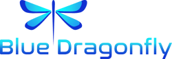 Blue Dragonfly